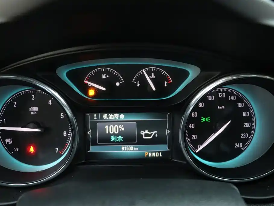 Buick Envision Plus 2015 20T 2WD Elite фото 8