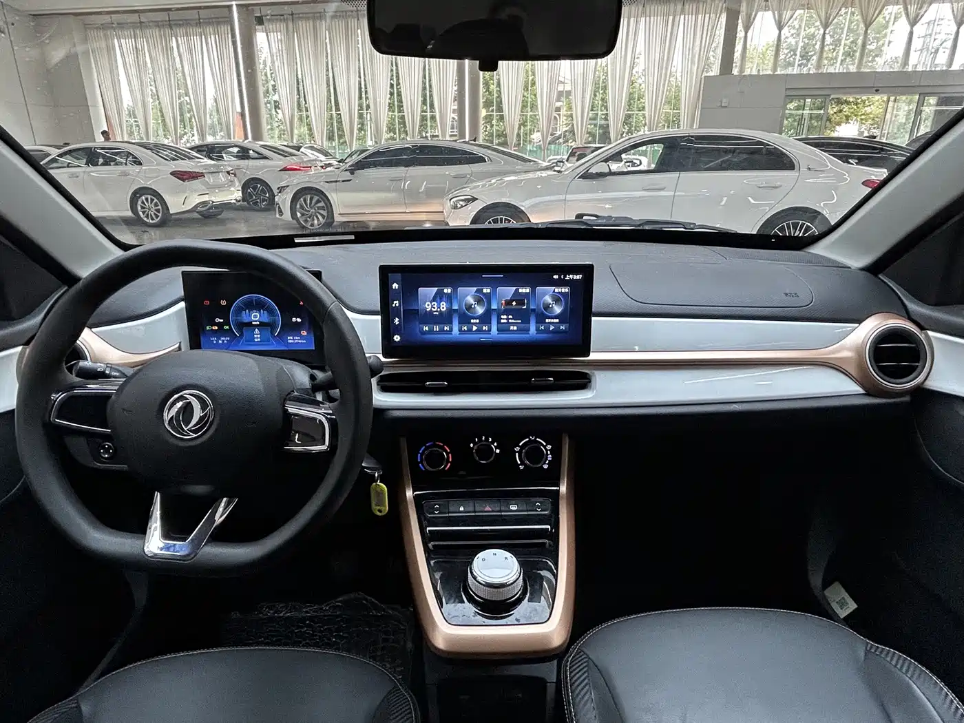 Dongfeng Yipai Nano BOX 2024 2022 Wind Chaser Edition 351KM Advanced