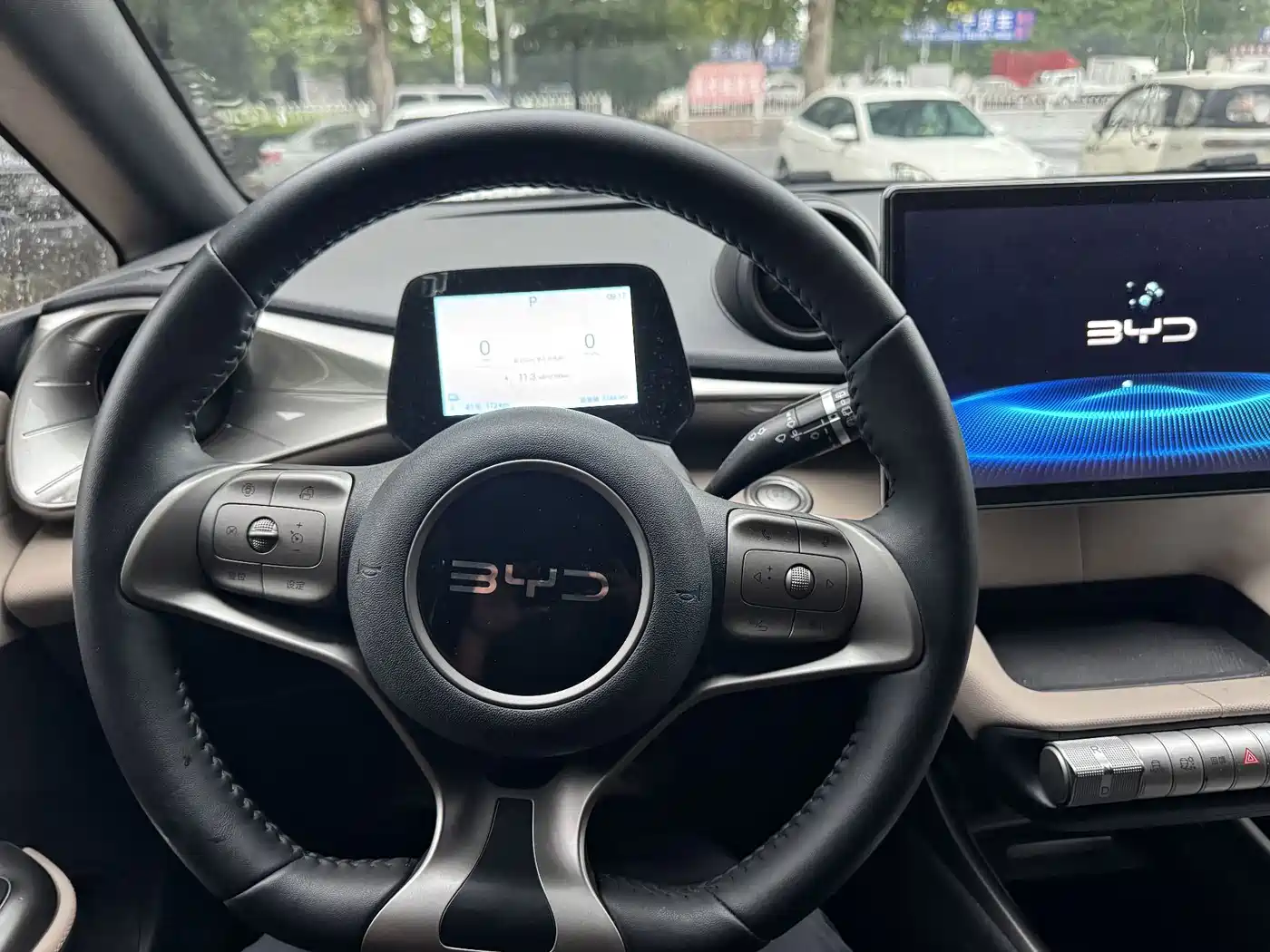 BYD Dolphin 2026 2025 420km Freedom Edition