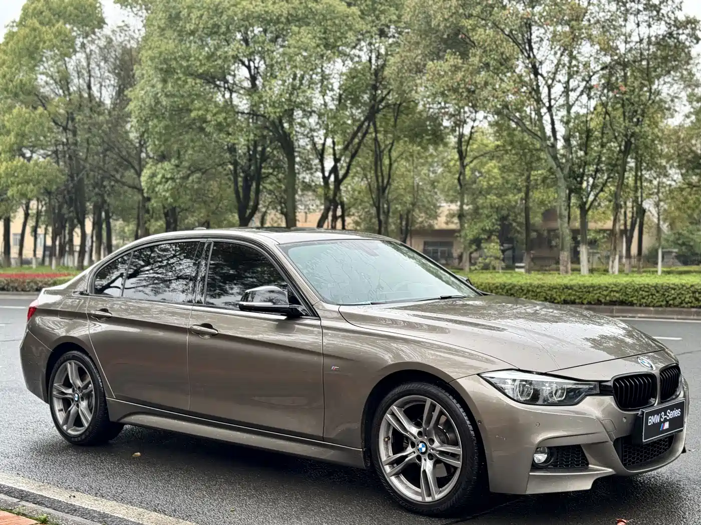 BMW 3 Series 2019 320Li M Sport Black Night Edition фото 3