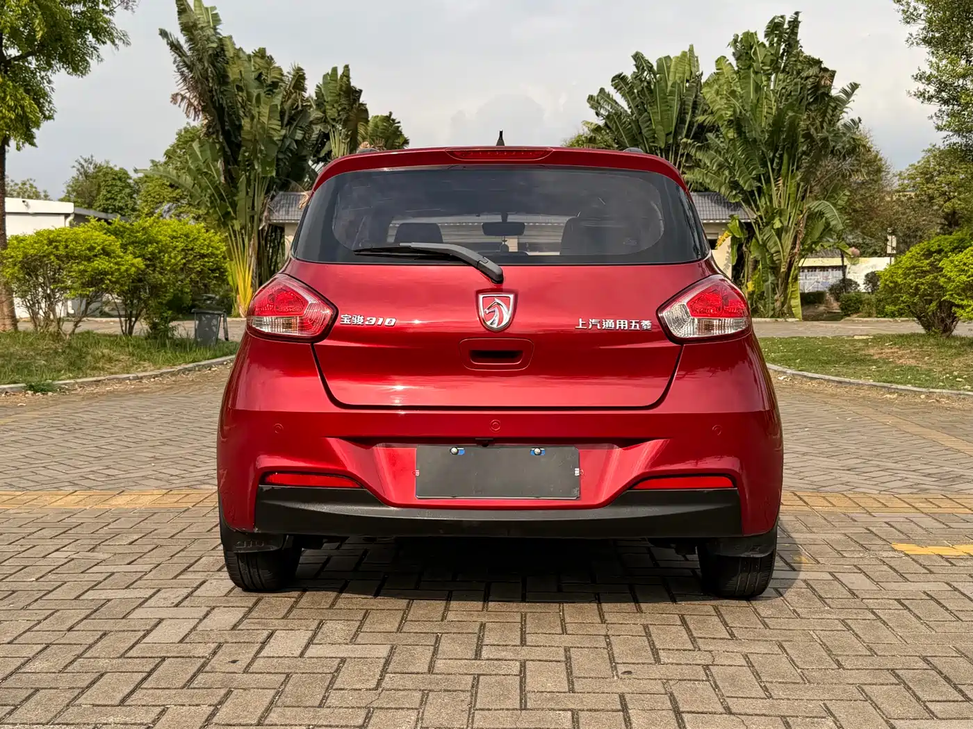 BAOJUN 310