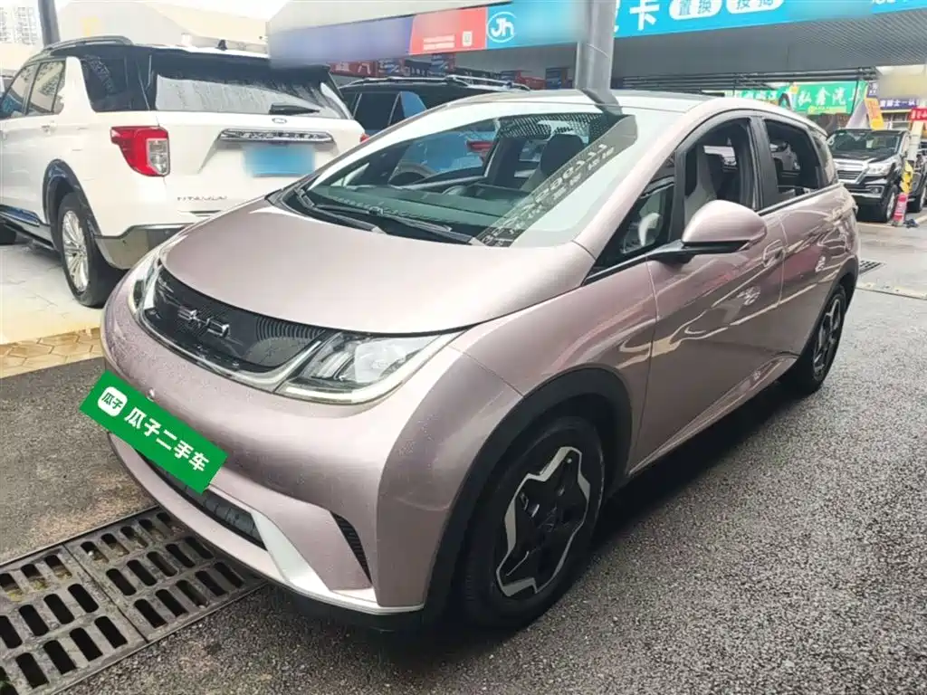 BYD Dolphin 2021 Model 405km Fashion Edition