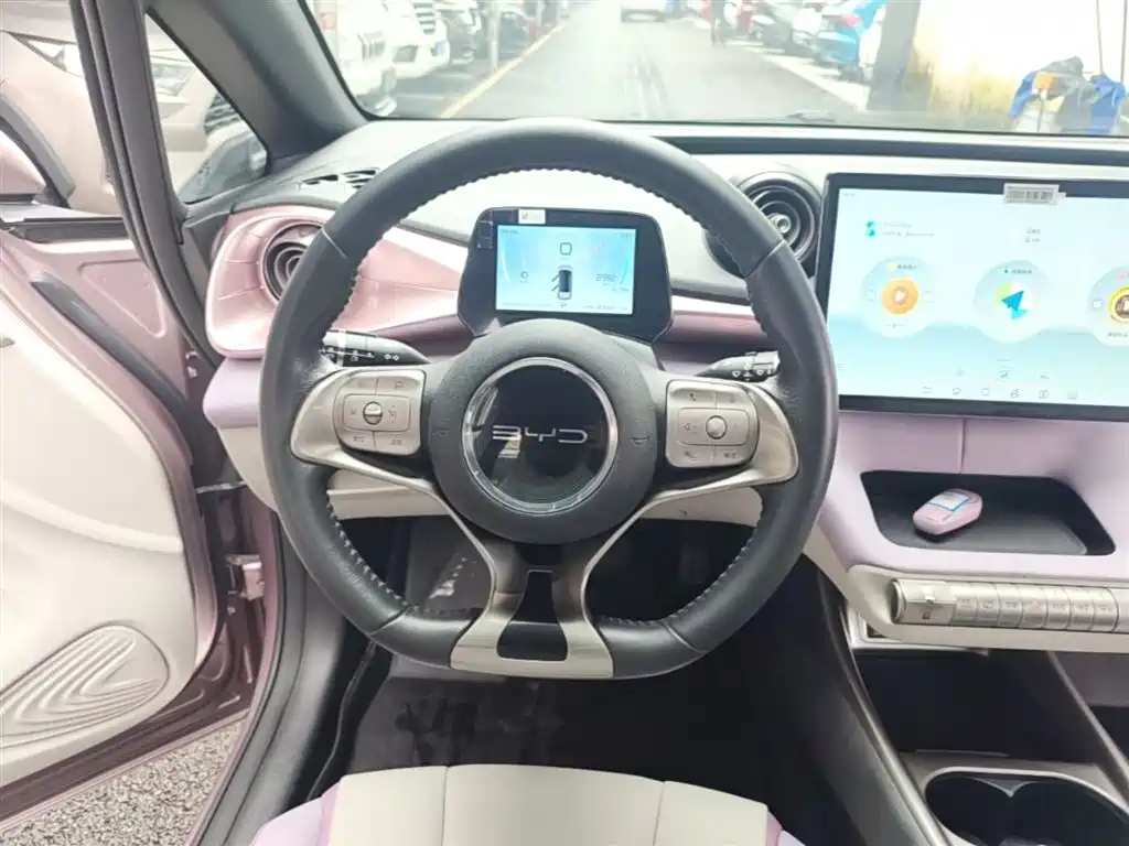 BYD Dolphin 2021 Model 405km Fashion Edition фото 11