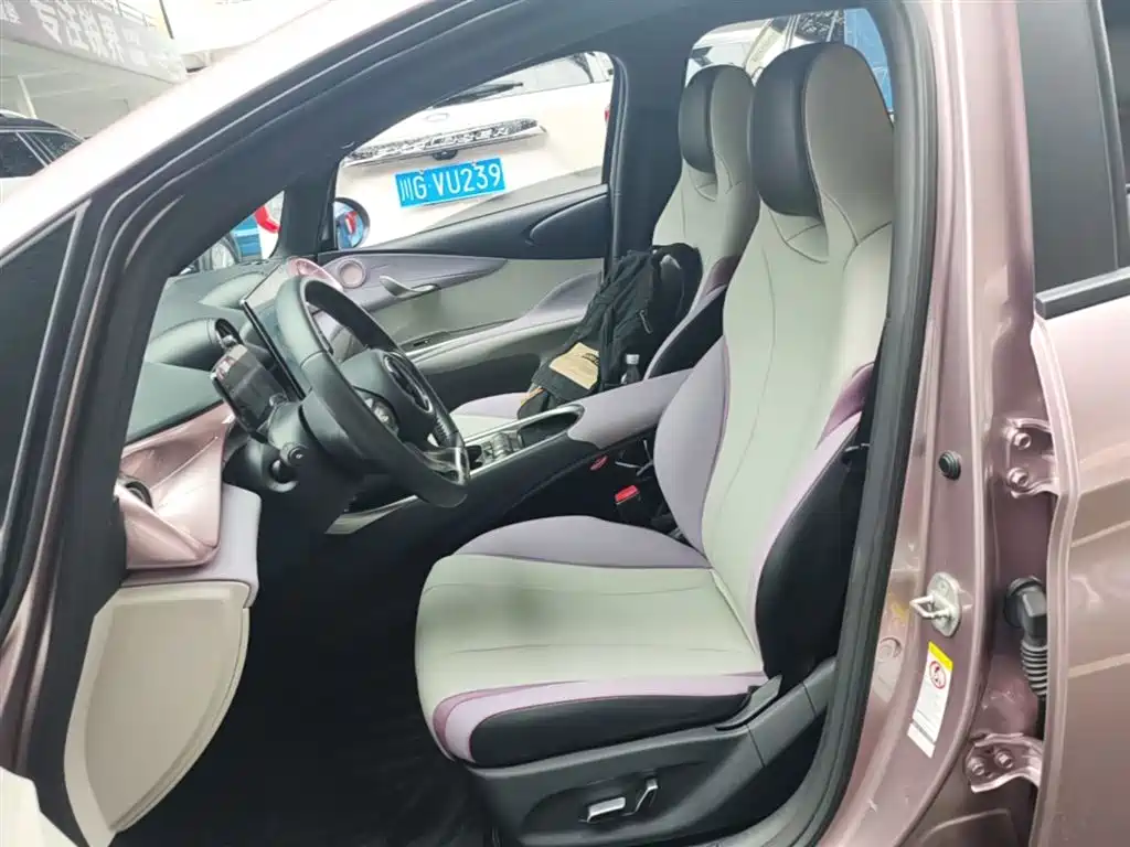 BYD Dolphin 2021 Model 405km Fashion Edition фото 15