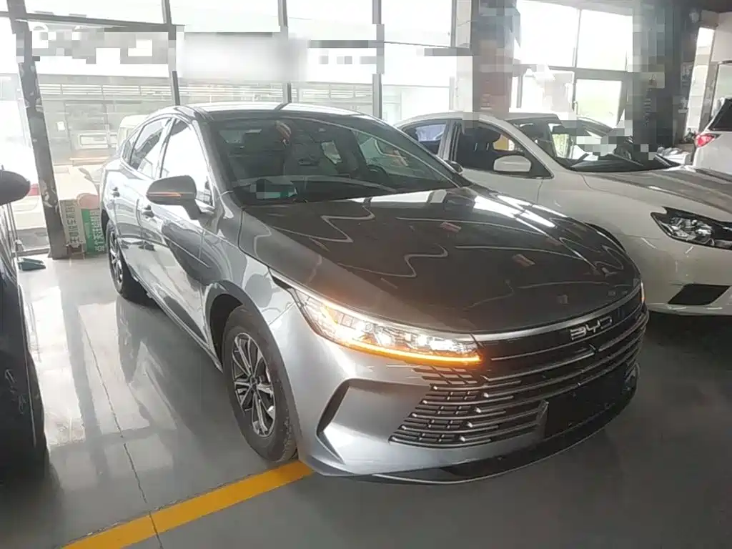 BYD Destroyer 05 2024 Glory Edition DM-i 55KM Luxury фото 4