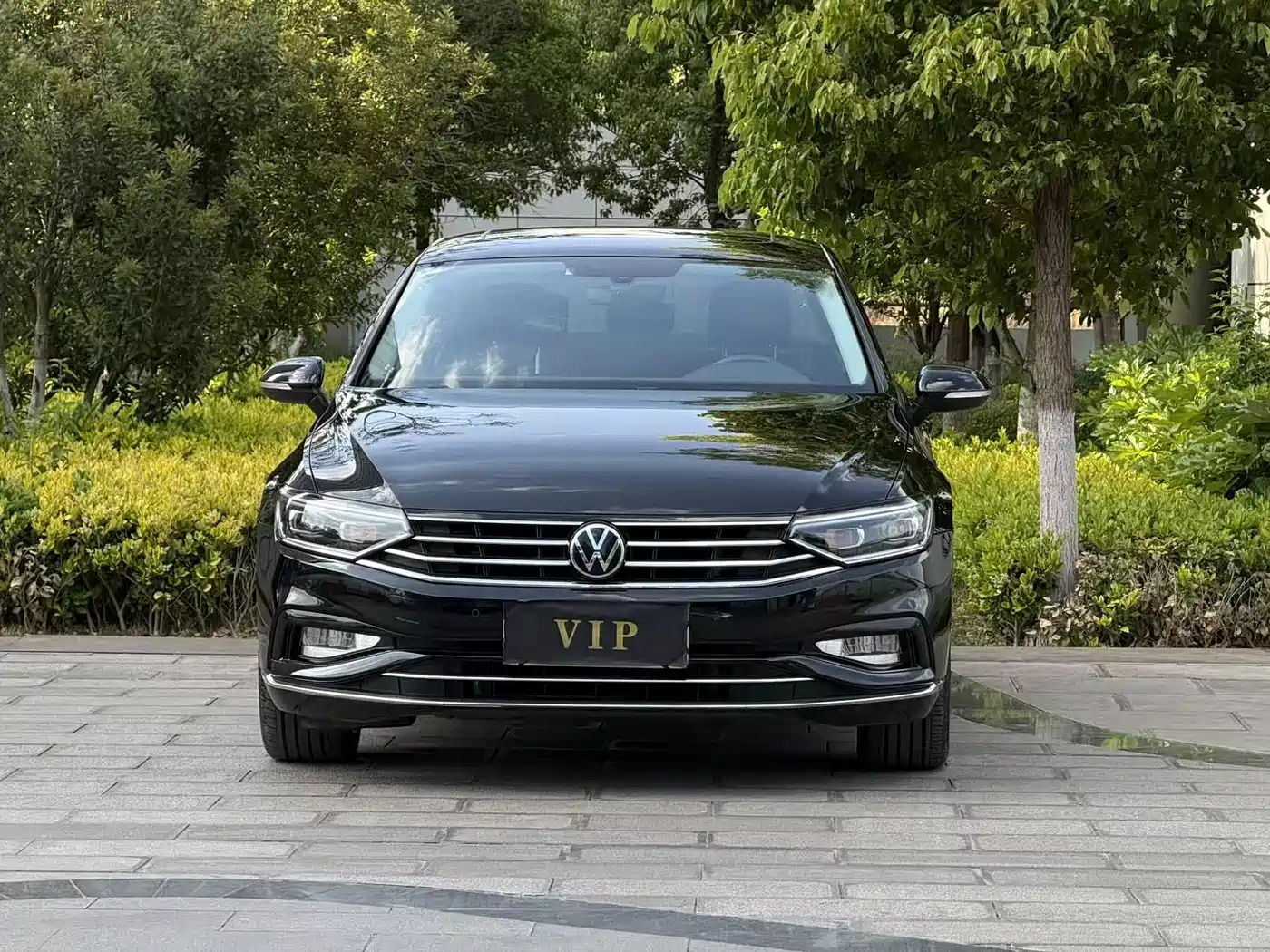 Volkswagen Magotan 2020 330TSI DSG Luxury фото 2