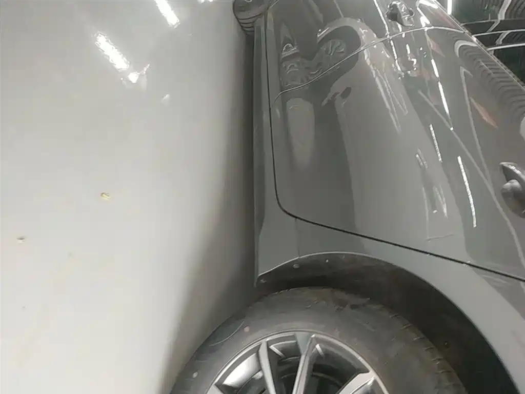 BYD Destroyer 05 2024 Glory Edition DM-i 55KM Luxury фото 22