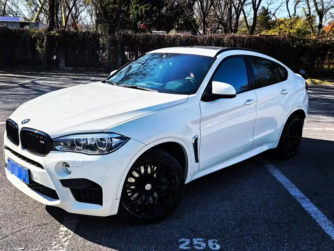 BMW X6 M 2015 X6 M