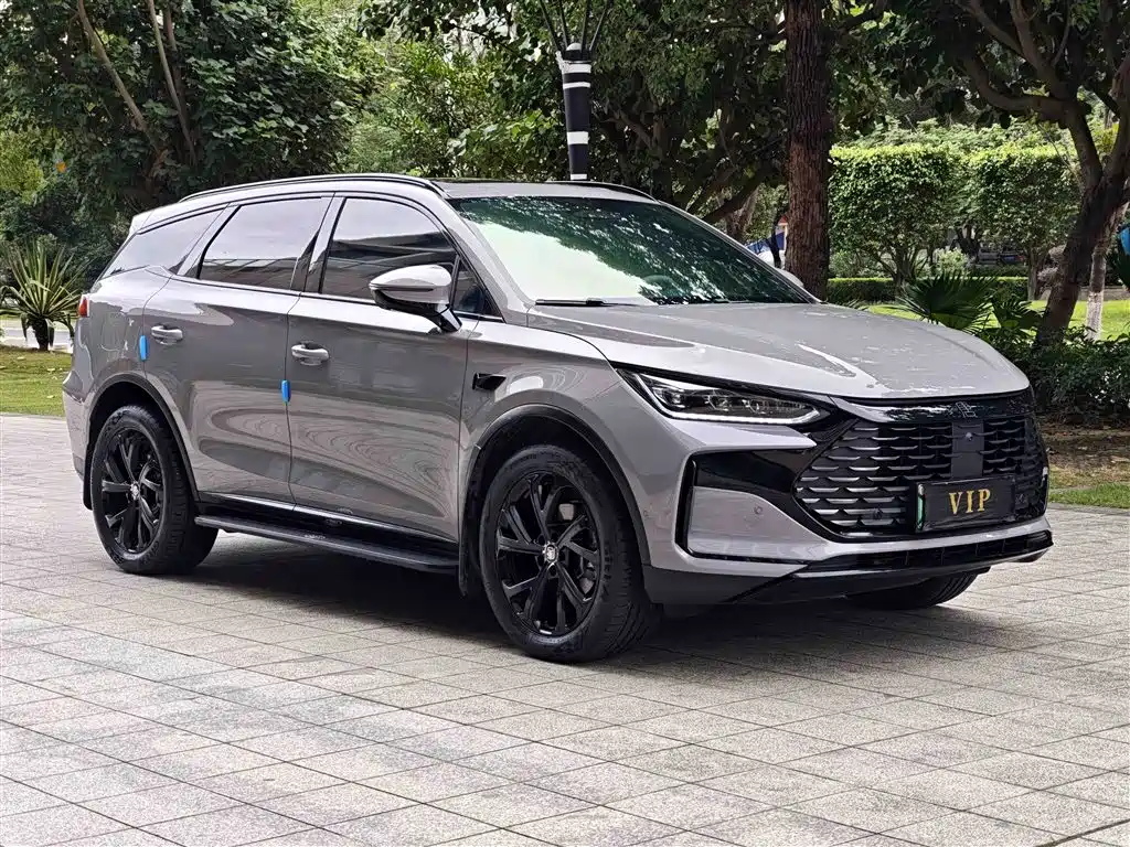 BYD Tang New Energy 2025 Smart Driving Edition DM-i 115KM Flagship фото 3