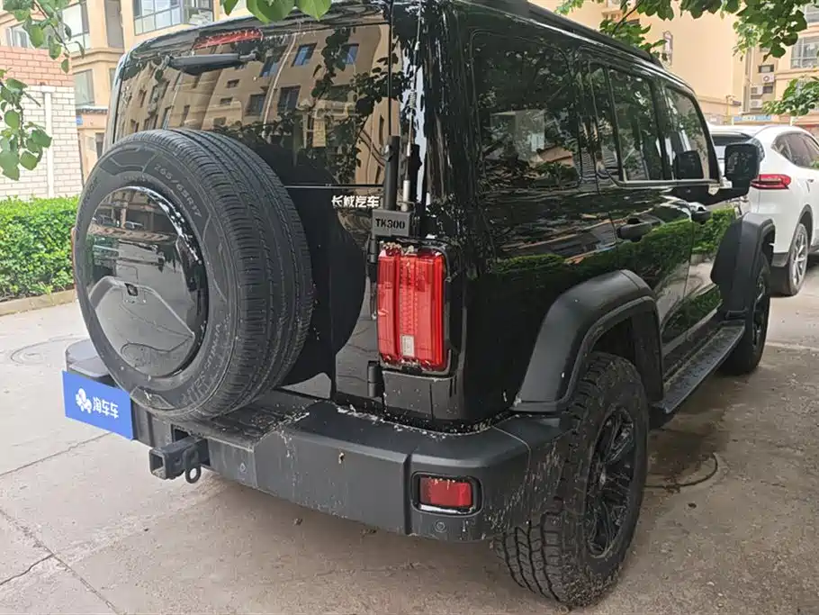 Tank 300 2023 Off-Road Edition 2.0T Conqueror фото 3