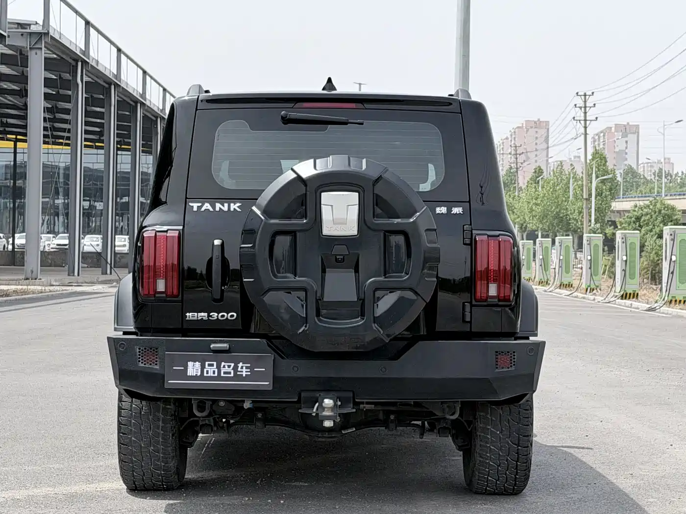 Tank 300 2021 Off-road Version 2.0T Conqueror фото 14