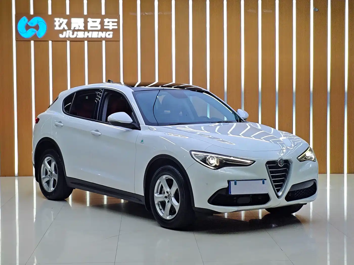 Alfa Romeo Stelvio 2019 2017 2.0T 200HP Elite