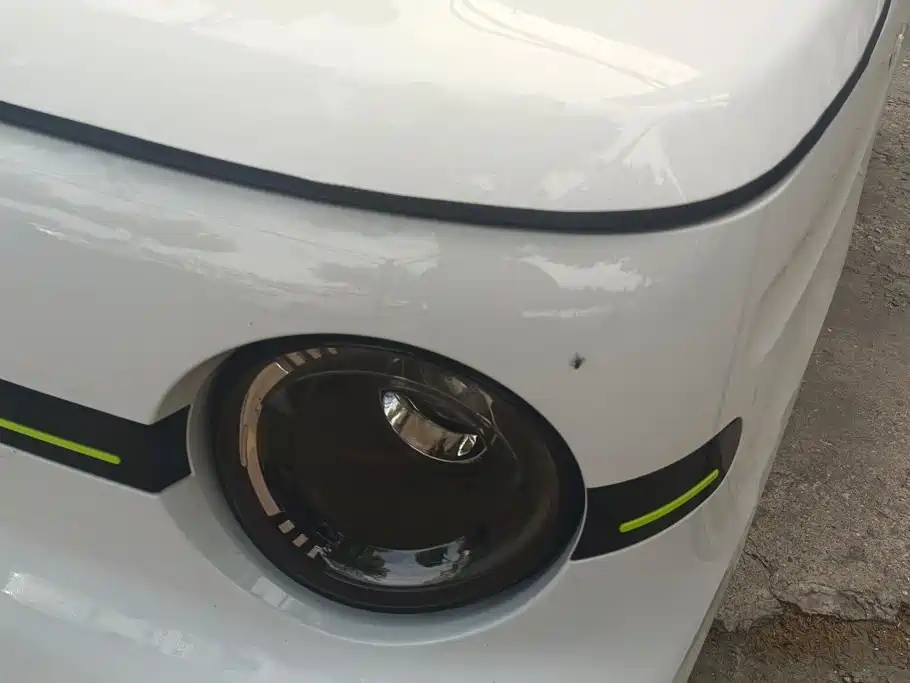 Geely Galaxy Panda 2025 2025 Panda mini 210km Vitality Bear