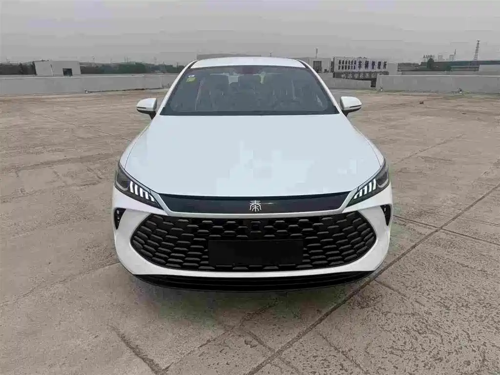 BYD Qin PLUS 2026 DM-i 128KM Progressive фото 2