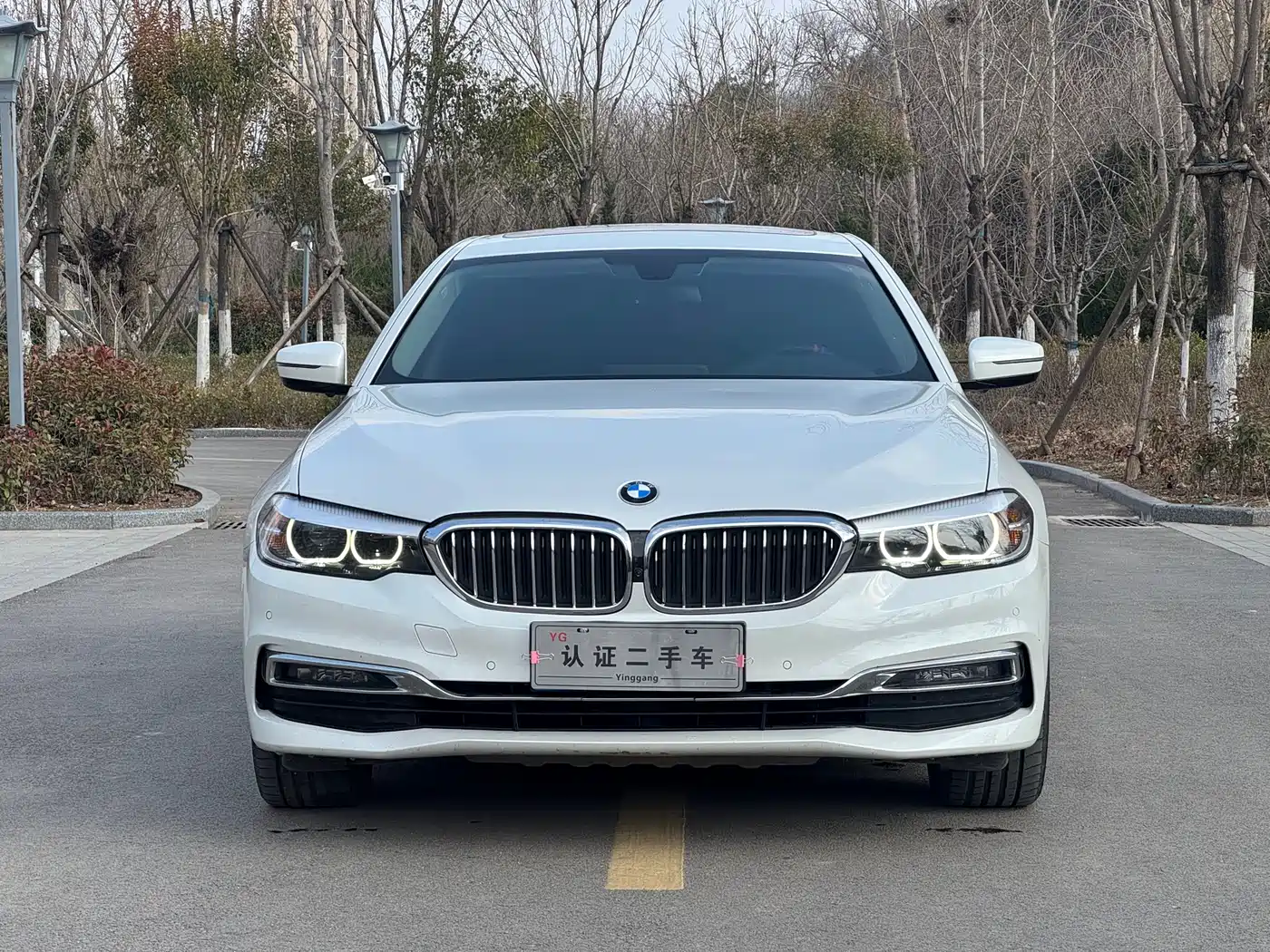 BMW 5 Series 2019 525Li Luxury Package фото 2