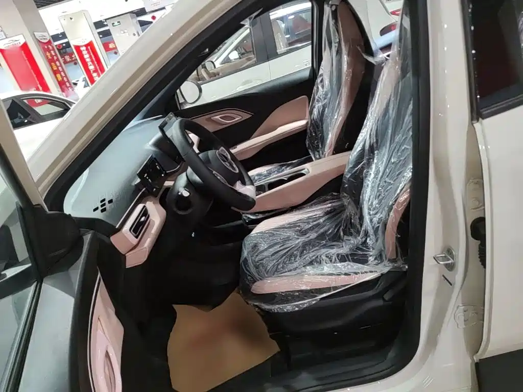 BYD Seagull 2026 2025 305km Vitality