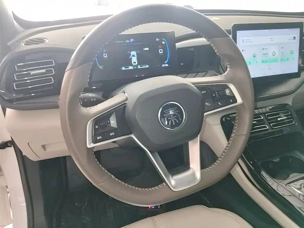BYD Qin PLUS 2023 Champion Edition DM-i 55KM Leading фото 11