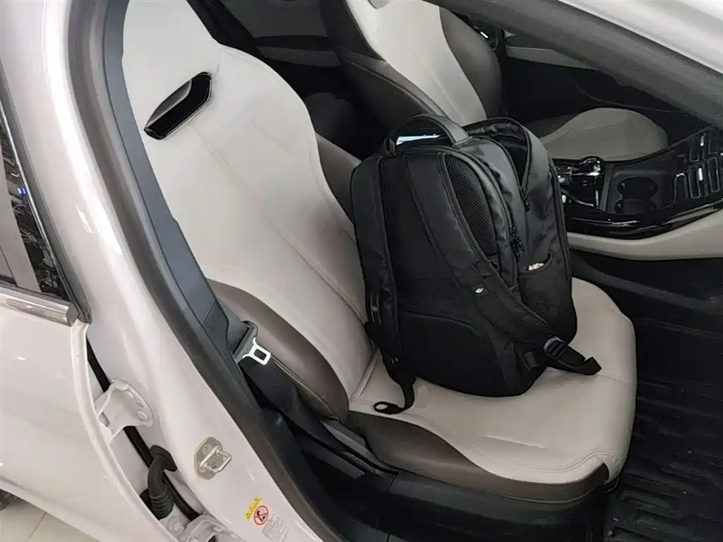 BYD Qin PLUS 2023 Champion Edition DM-i 55KM Leading фото 25