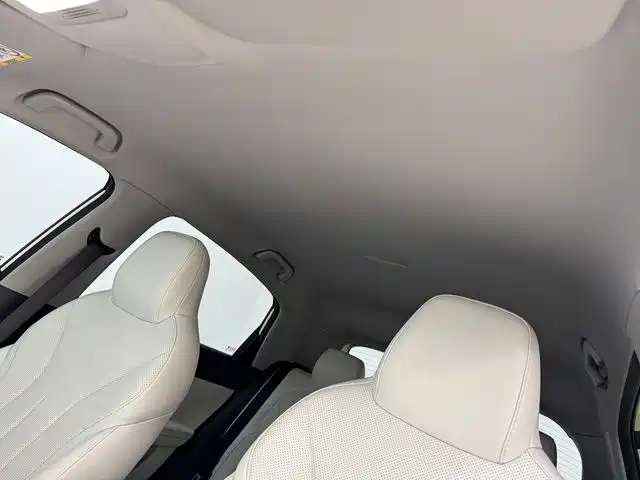 Geely Galaxy Starry Wish 2026 Edition 410km Freedom Version фото 15