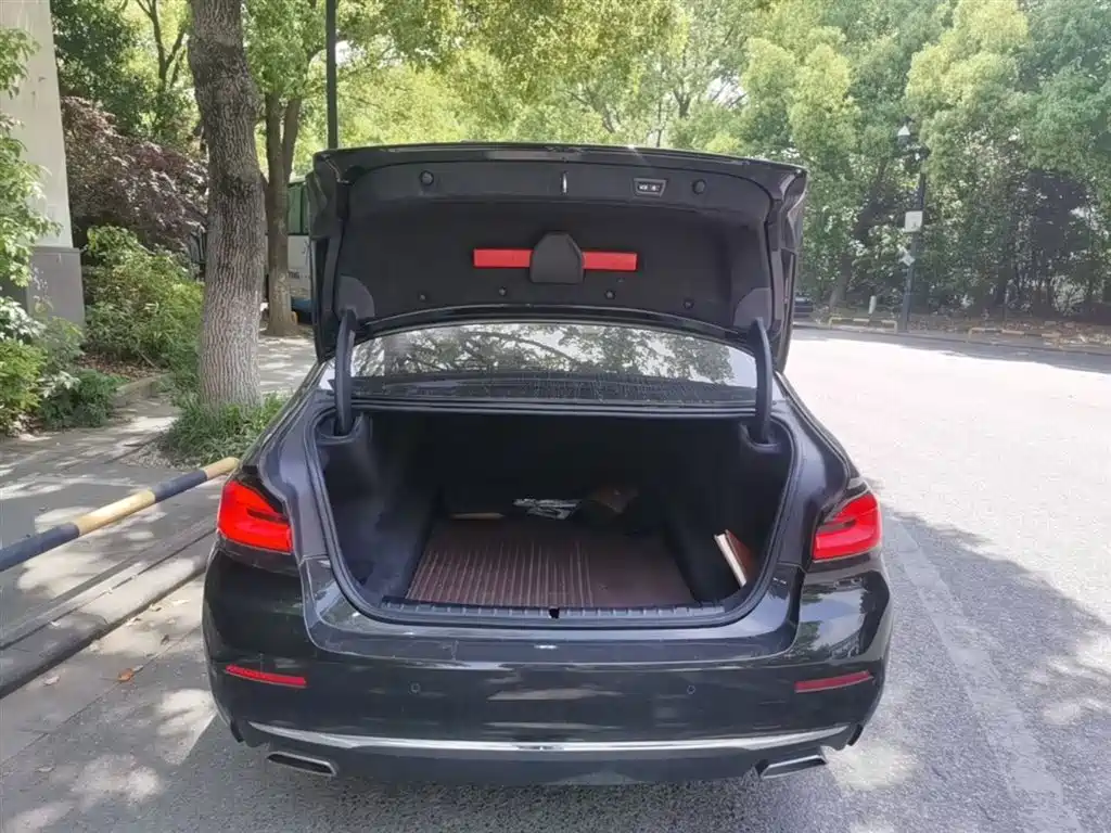 BMW 5 Series 2021 530Li Leading Luxury Package фото 19