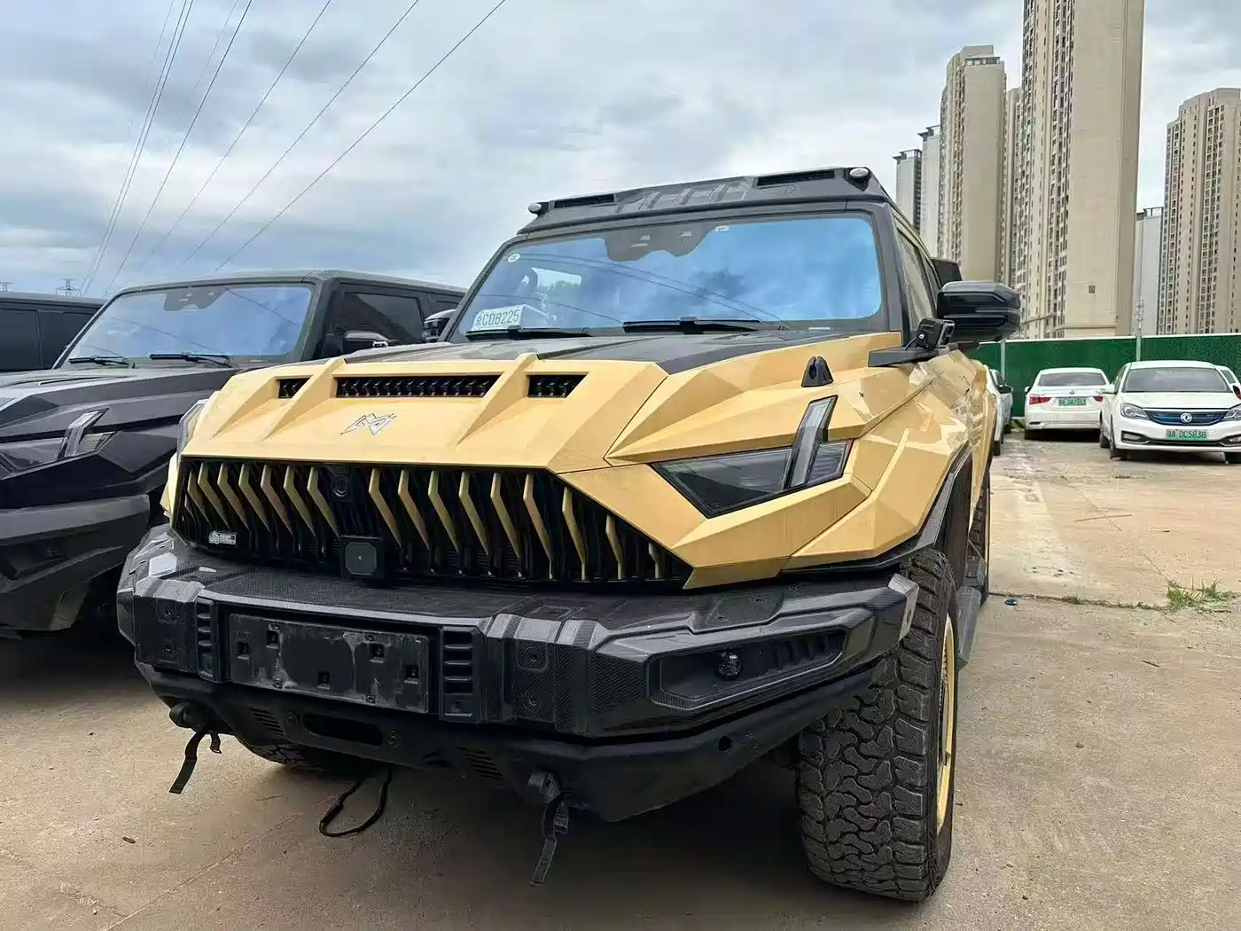 Mengshi 917