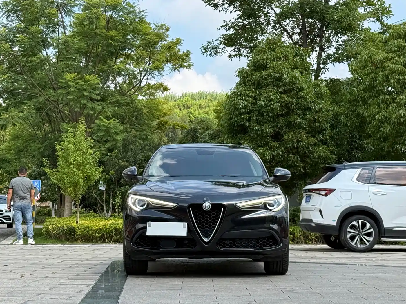 Alfa Romeo Stelvio 2019 2017 2.0T 200HP Luxury Edition