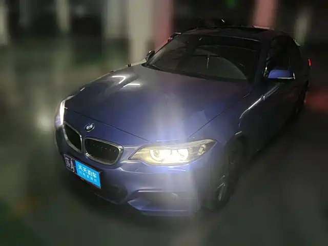 BMW 2 Series (Import) 2019