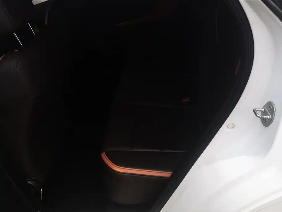 BYD e2 2021 Luxury Edition фото 11
