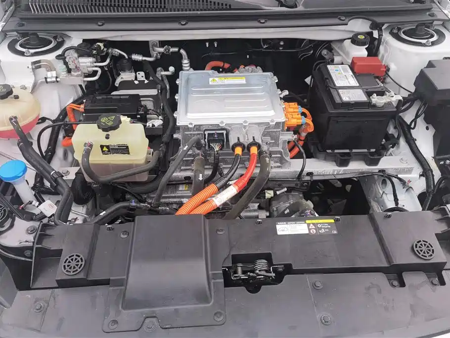 BYD e2 2021 Luxury Edition фото 10