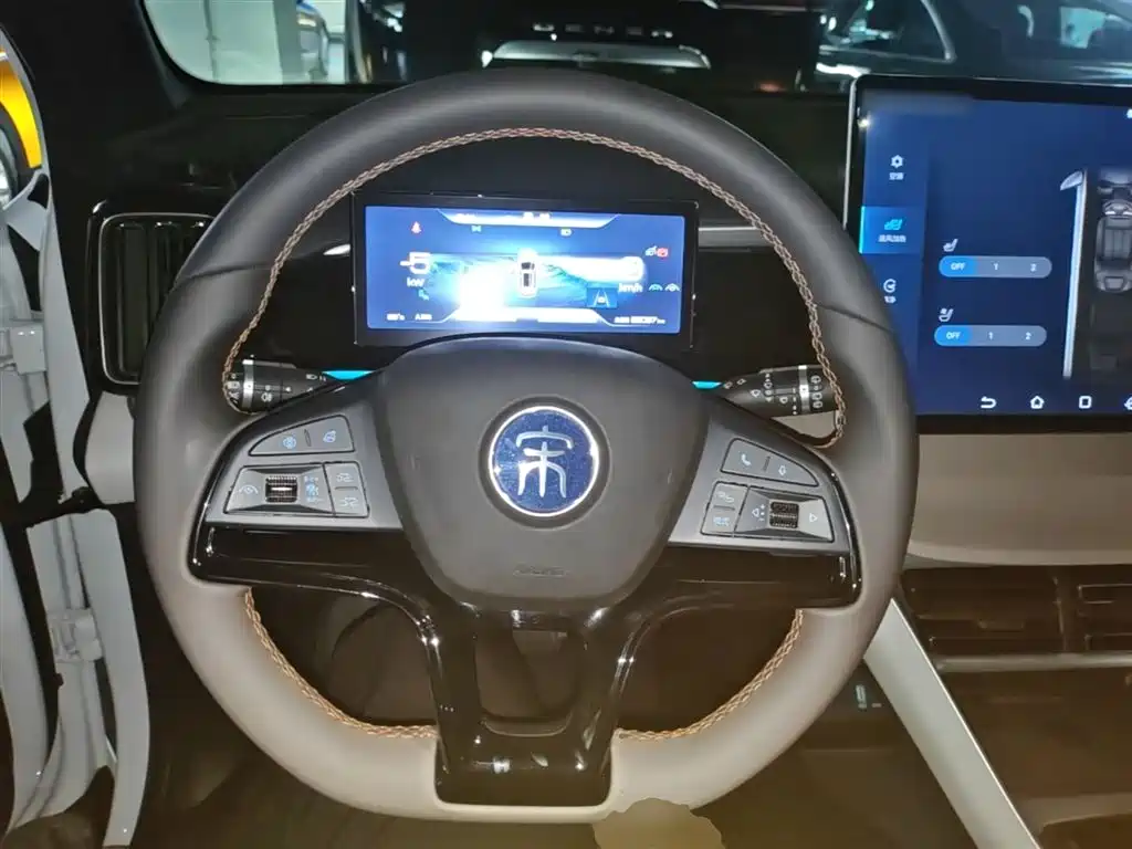 BYD Song Pro New Energy 2023 Champion Edition DM-i 110KM Excellence фото 11