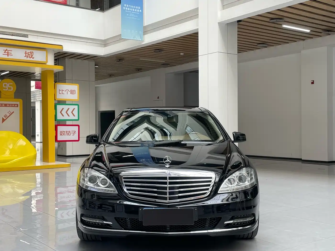 Mercedes-Benz S-Class 2010 S 600 L фото 2