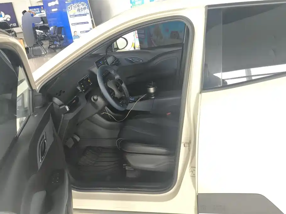 BYD Seagull 2024 Glory Edition 305km Freedom Edition фото 8