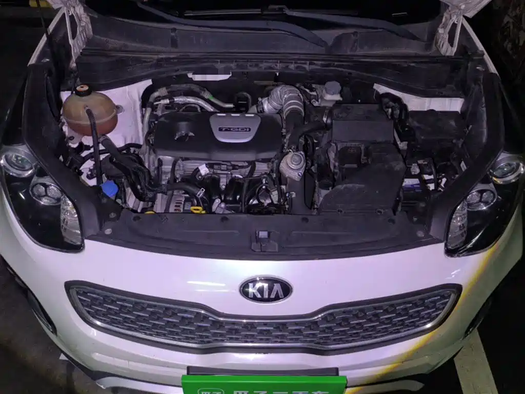 Kia KX5 2017 1.6T Automatic 2WD 15th Anniversary Special DLX фото 24