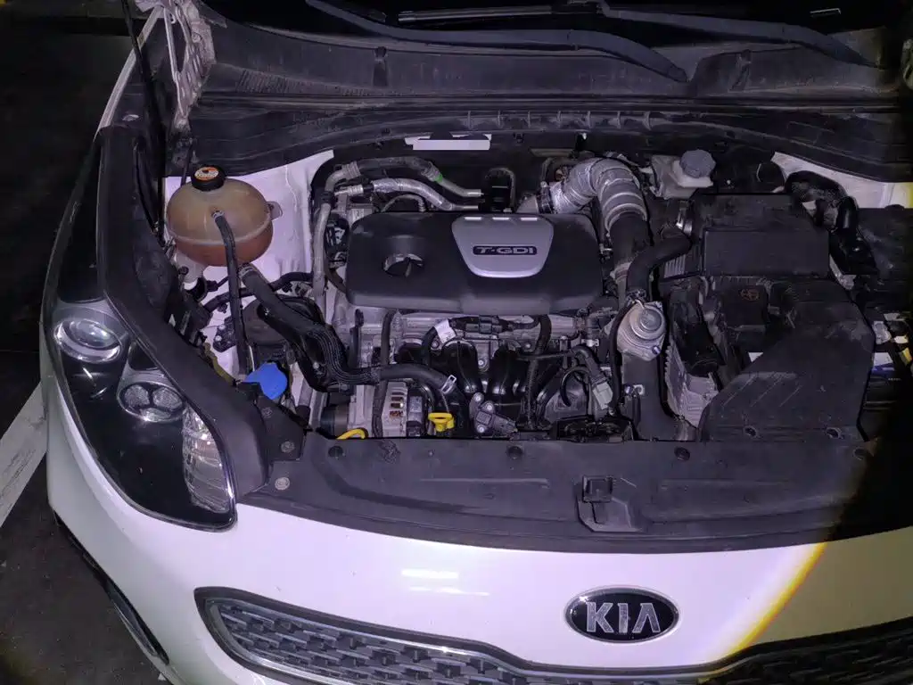 Kia KX5 2017 1.6T Automatic 2WD 15th Anniversary Special DLX фото 19