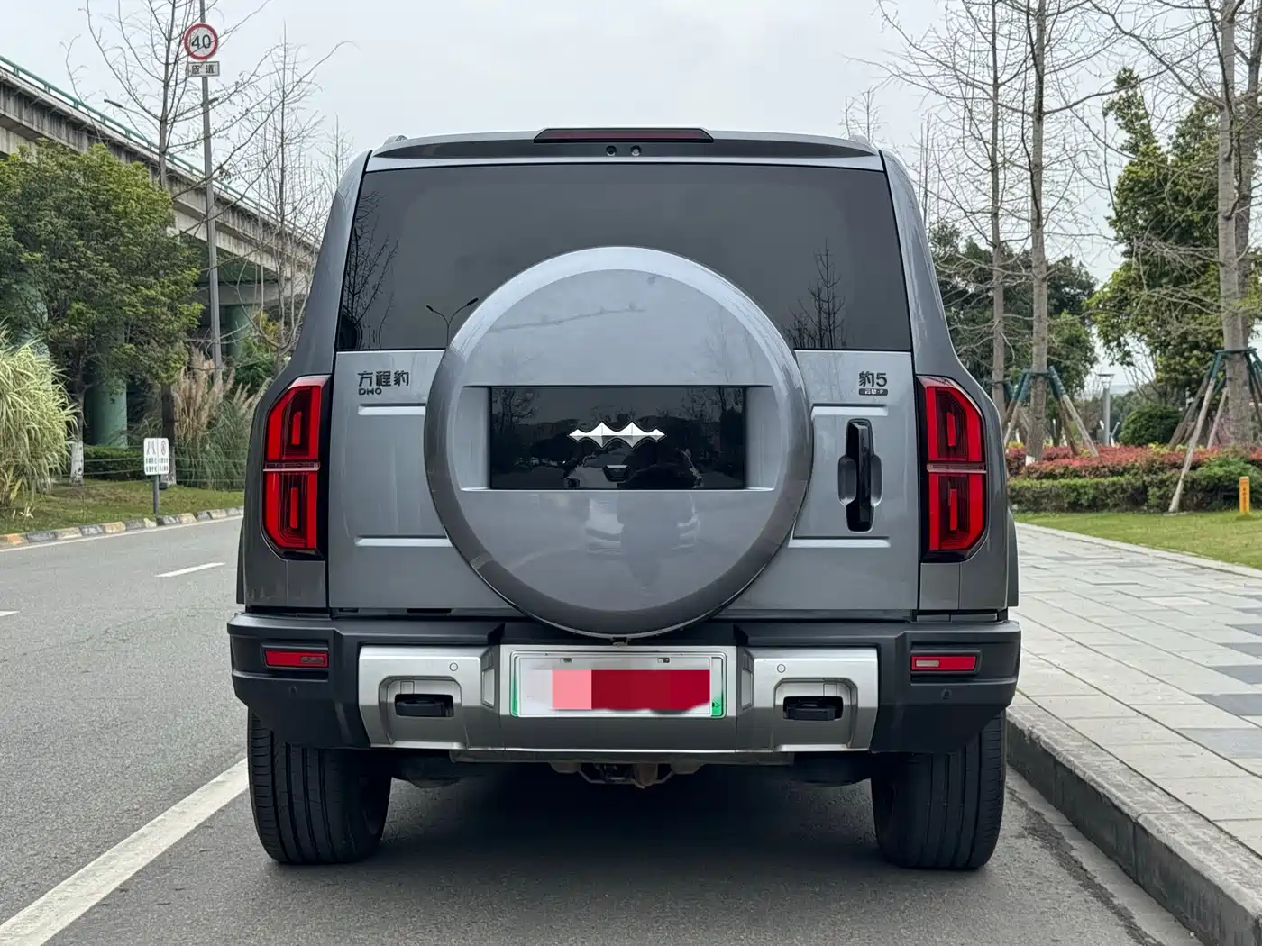 FANG CHENG BAO LEOPARD 5