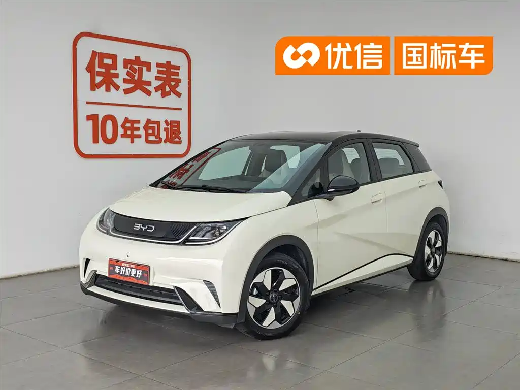BYD Dolphin 2025 420km Freedom Edition
