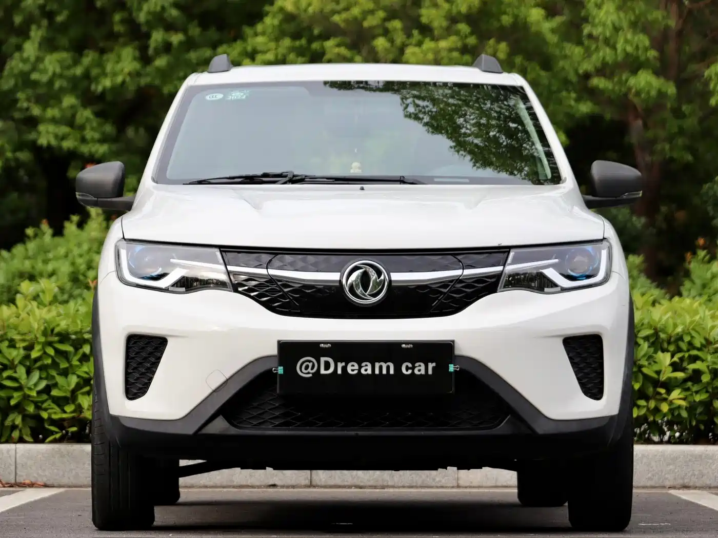 Dongfeng Yipai Dongfeng Nano EX1 2022 2022 PRO Joy Comfort Edition