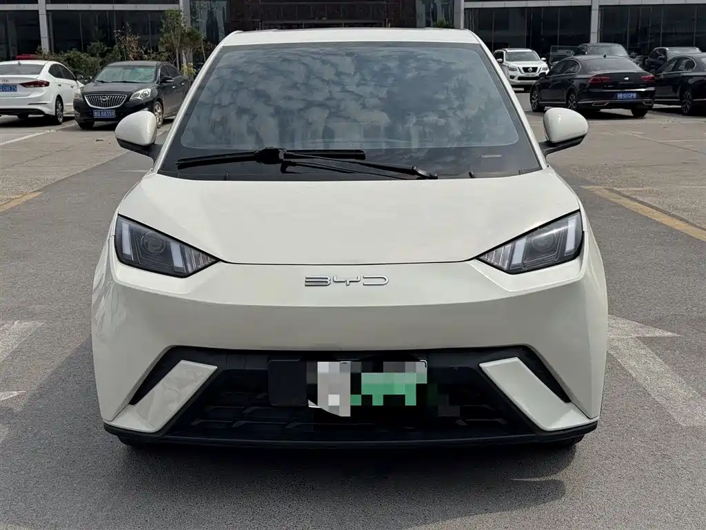 BYD Seagull 2024 Glory Edition 305km Vitality Edition фото 2