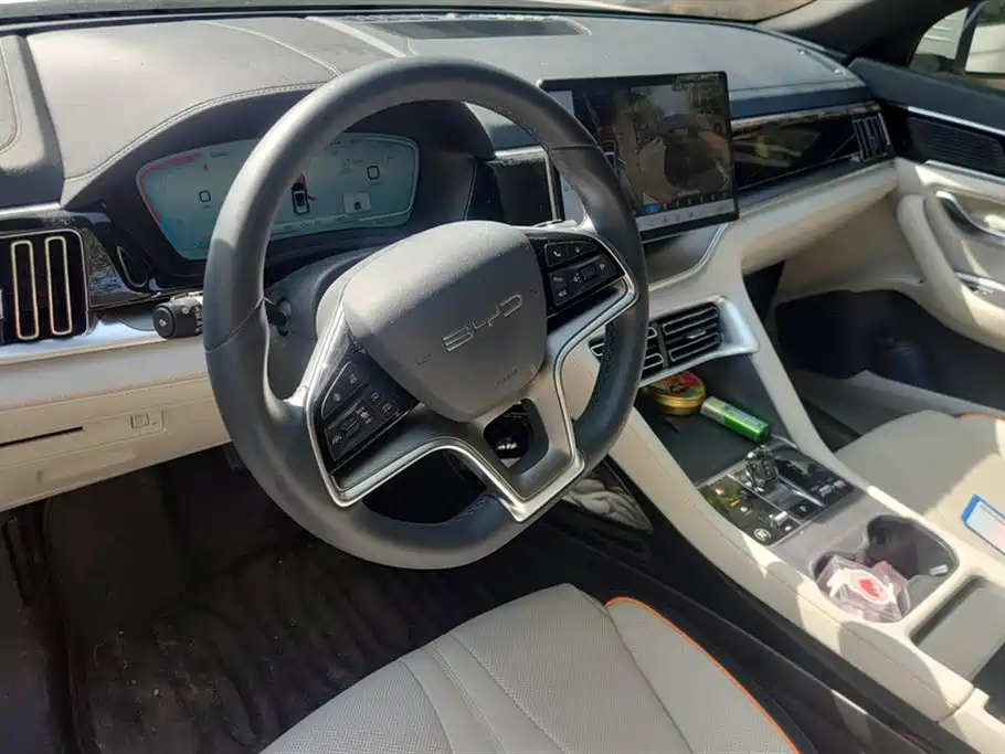 BYD SONGJIANG NEW ENERGY