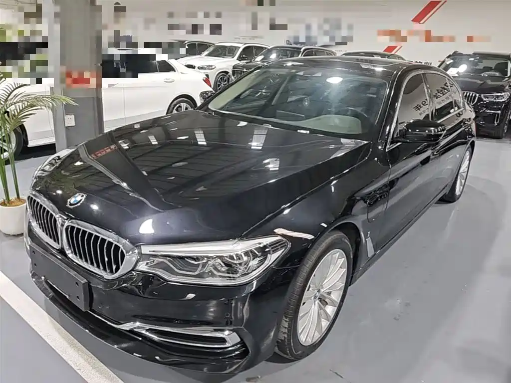 BMW 5 Series New Energy 2019 Facelift 530Le Luxury Package фото 2