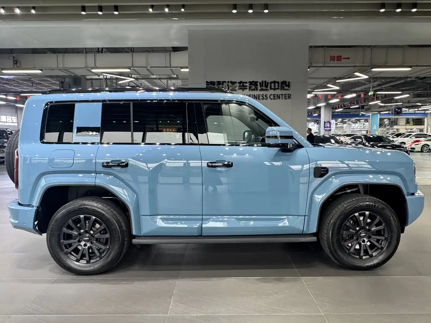 FANG CHENG BAO LEOPARD 5