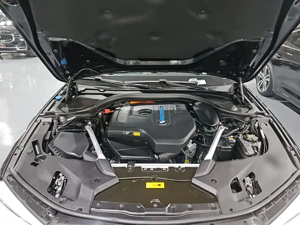 BMW 5 Series New Energy 2019 Facelift 530Le Luxury Package фото 20