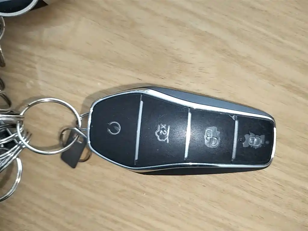 BYD Xia 2025 DM-i 1.5T 180km Excellence фото 9