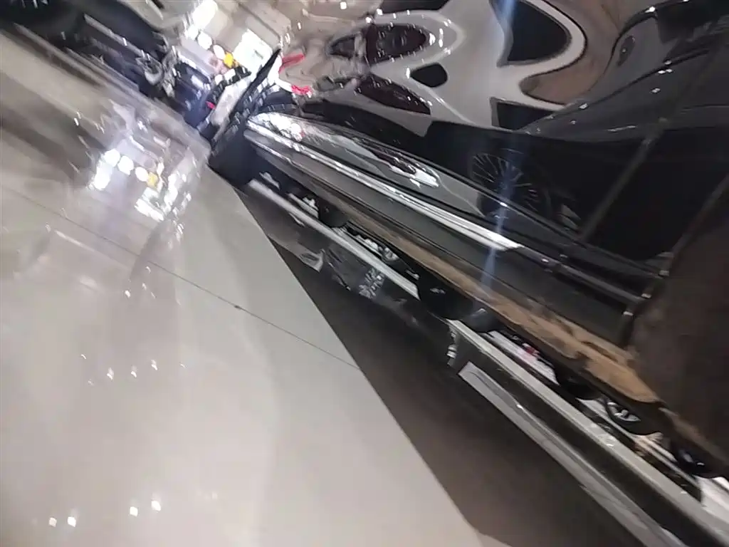 Hongqi HQ9 2023 2.0T Smart Connect Flagship фото 21