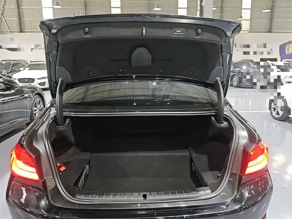 BMW 5 Series New Energy 2019 Facelift 530Le Luxury Package фото 19