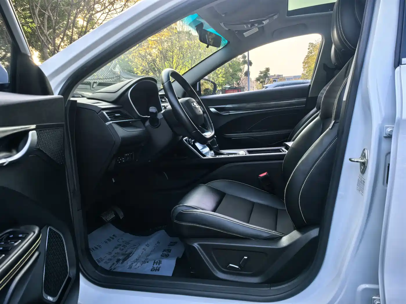 GEELY AUTOMOBILE BINRUI