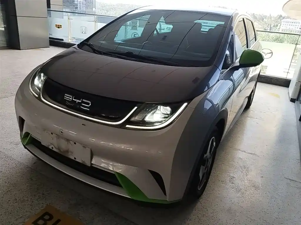 BYD Dolphin 2021 Model 405km Fashion Edition