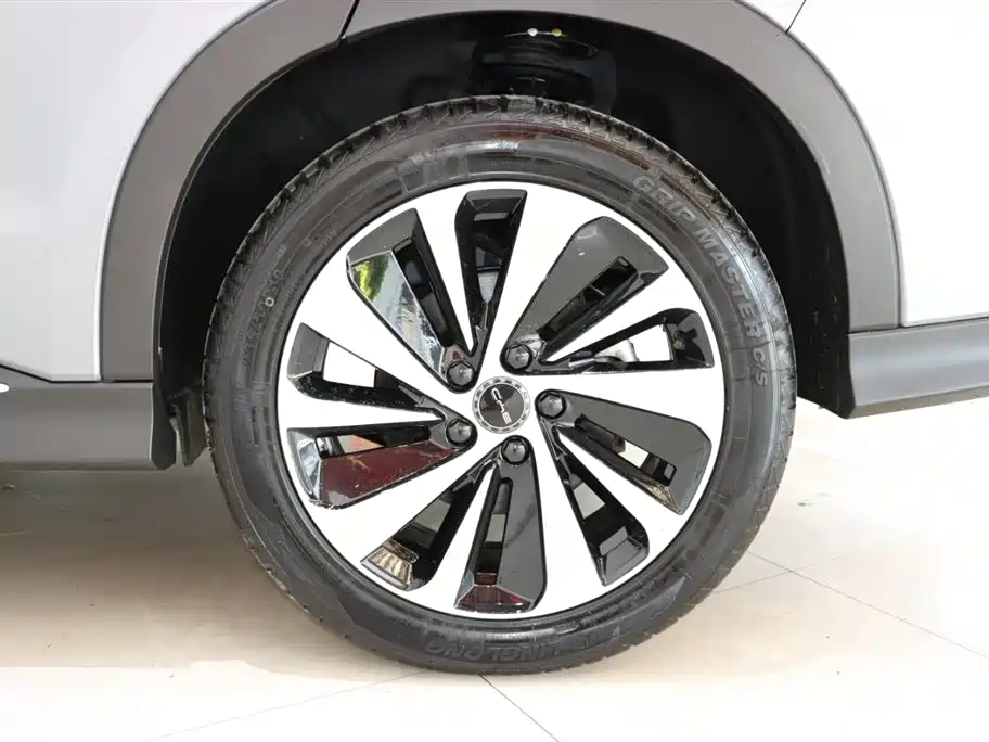 BYD SONGJIANG NEW ENERGY