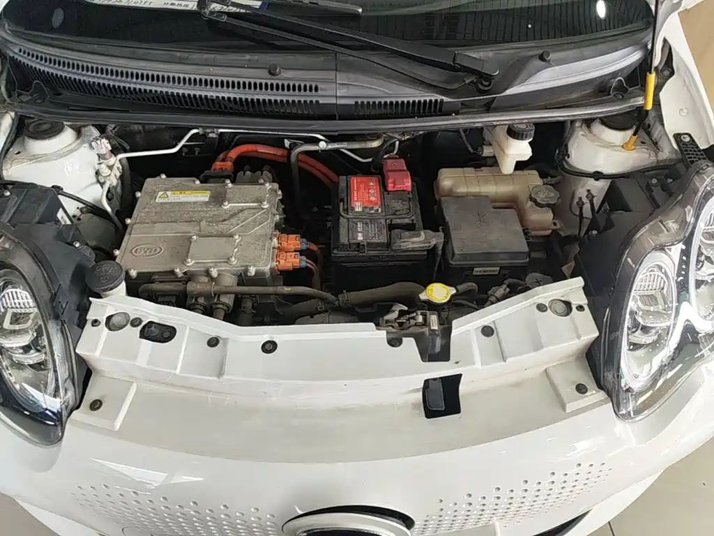 BYD e1 2019 2019 Smart Version
