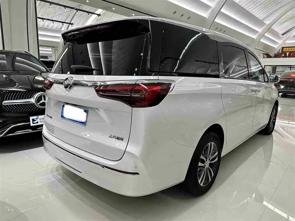 Buick GL8 2022 ES Landmark 653T Premium фото 8